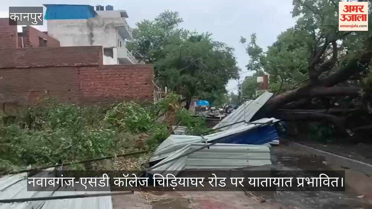 Trees fall during storm, traffic jam hits Jarauli and Nawabganj roads in Kanpur