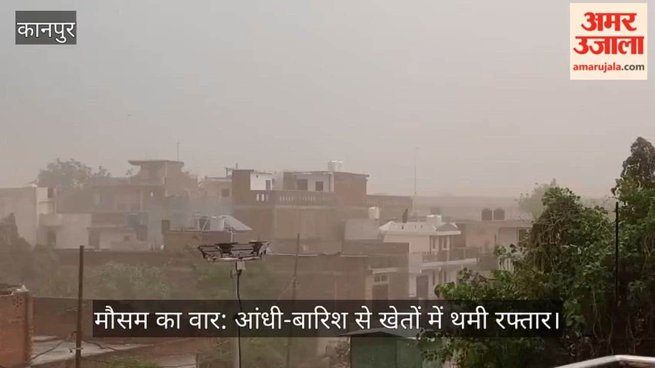 Dust storm and rain disrupt harvesting in Mandhana and Bithoor areas of Kanpur
