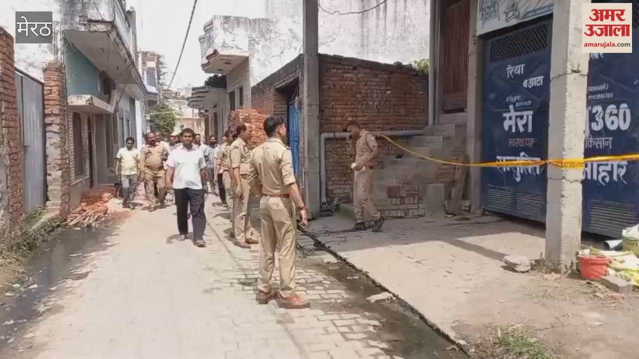Meerut Liquor Tragedy: Conspiracy to Murder Brother Over Love Affair; Sister and Lover Taken into Custody