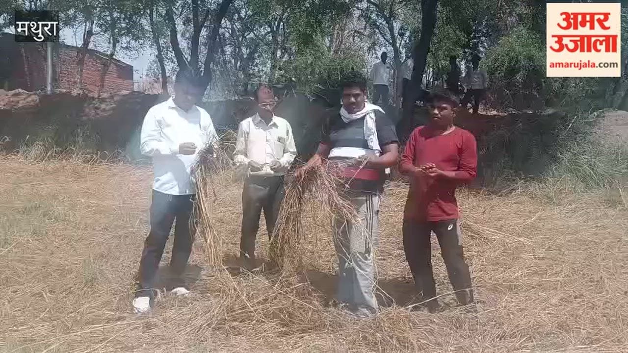 Rain and Hail Devastate Crops