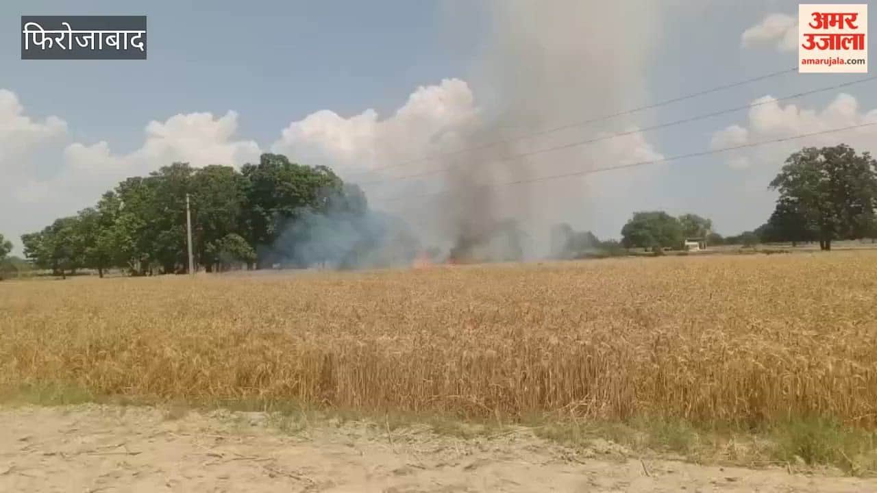 Short Circuit Sparks Fire: Wheat Crop on 4 Bighas Destroyed