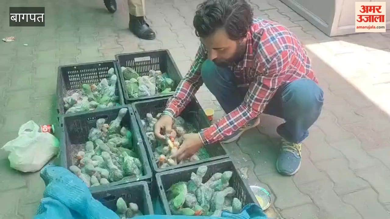 Baghpat: Three smugglers caught with 170 parrots, two absconding