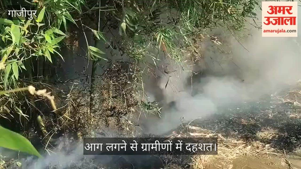 Fire Breaks Out in Banswar; Wheat Crop Saved Thanks to Villagers' Prompt Action