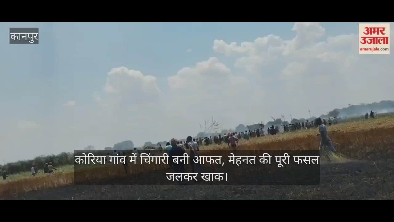 Fire from short circuit destroys 40 bigha wheat crop in Kanpur village