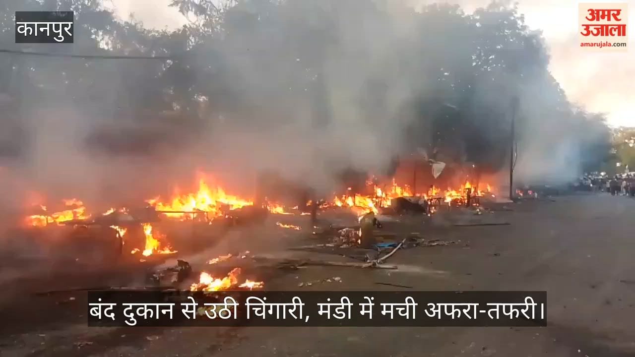 Fire breaks out in Phool Bagh fruit market, over a dozen shops affected
