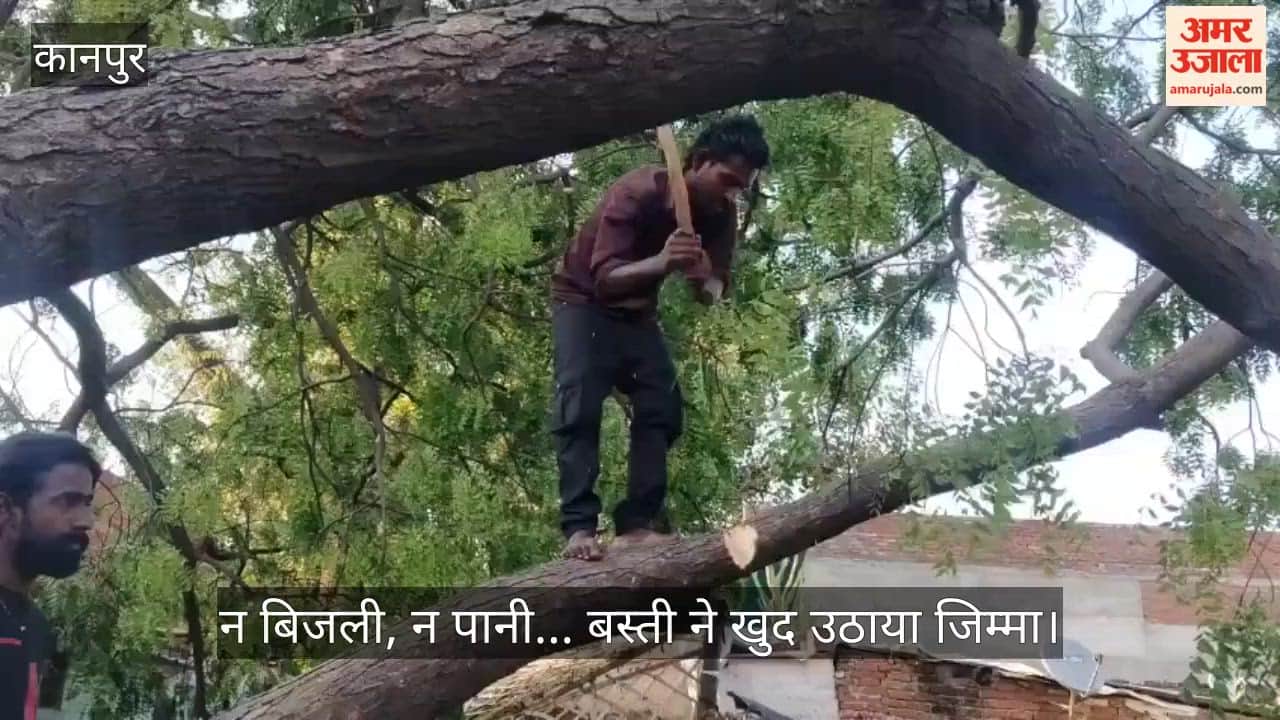 Power outage for 48 hours in Dada Nagar slum, residents cut fallen trees themselves