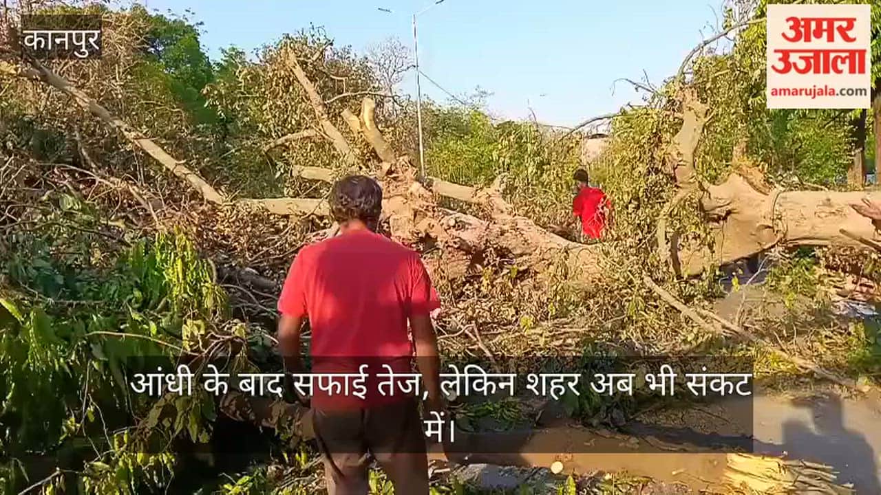 anpur civic teams clear fallen trees after storm, power and water issues persist