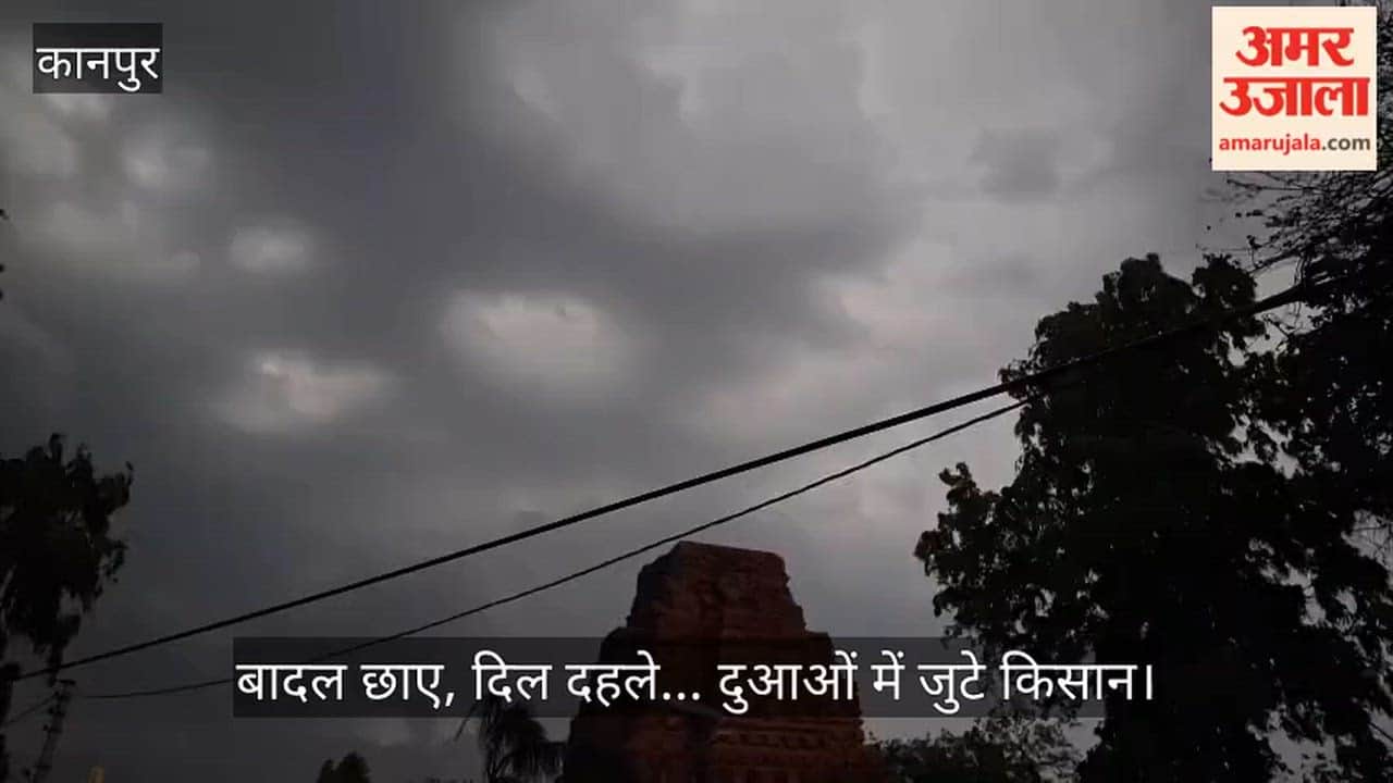 Threat of storm looms over Bhitargaon farmers anxious amid lightning clouds