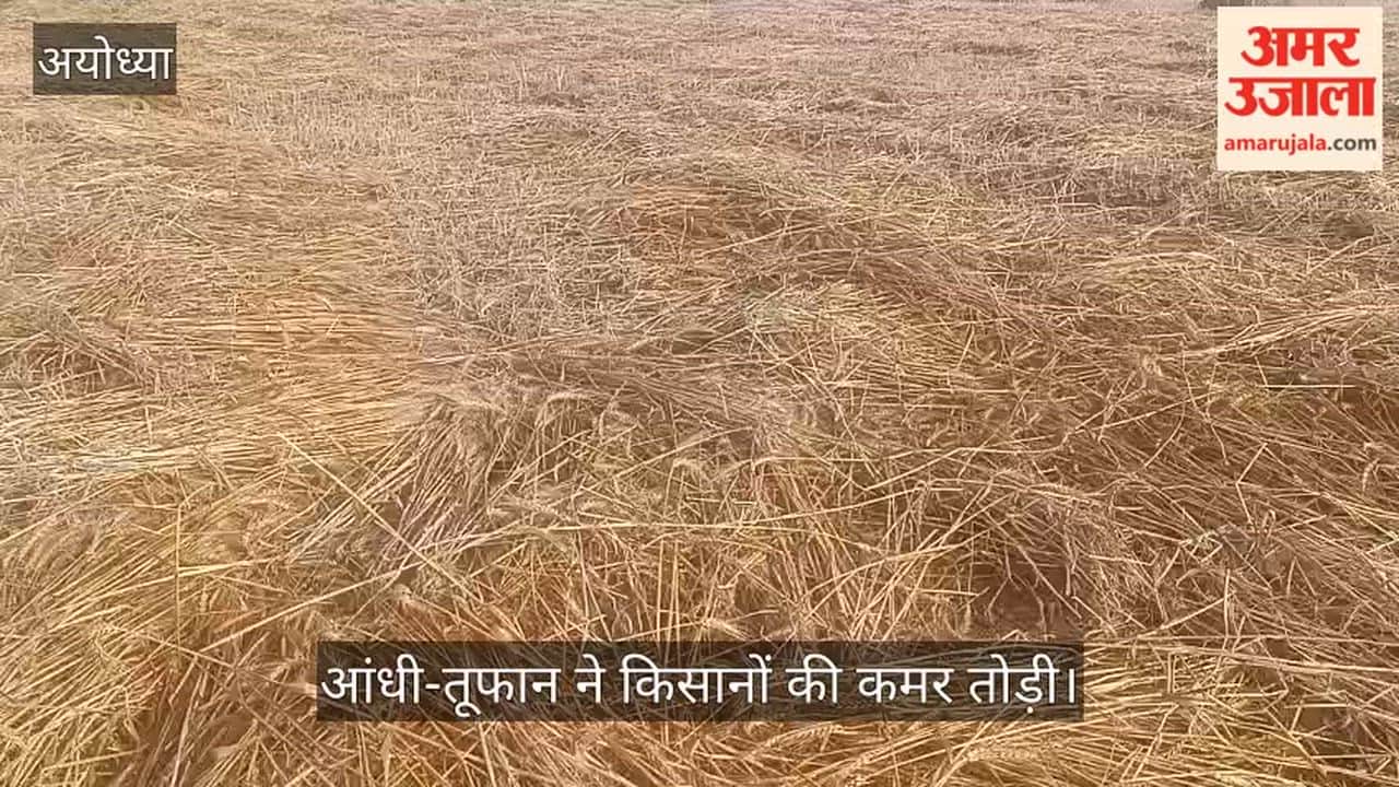अयोध्या में आंधी-तूफान ने किसानों की कमर तोड़ी, बिजली भी गुल