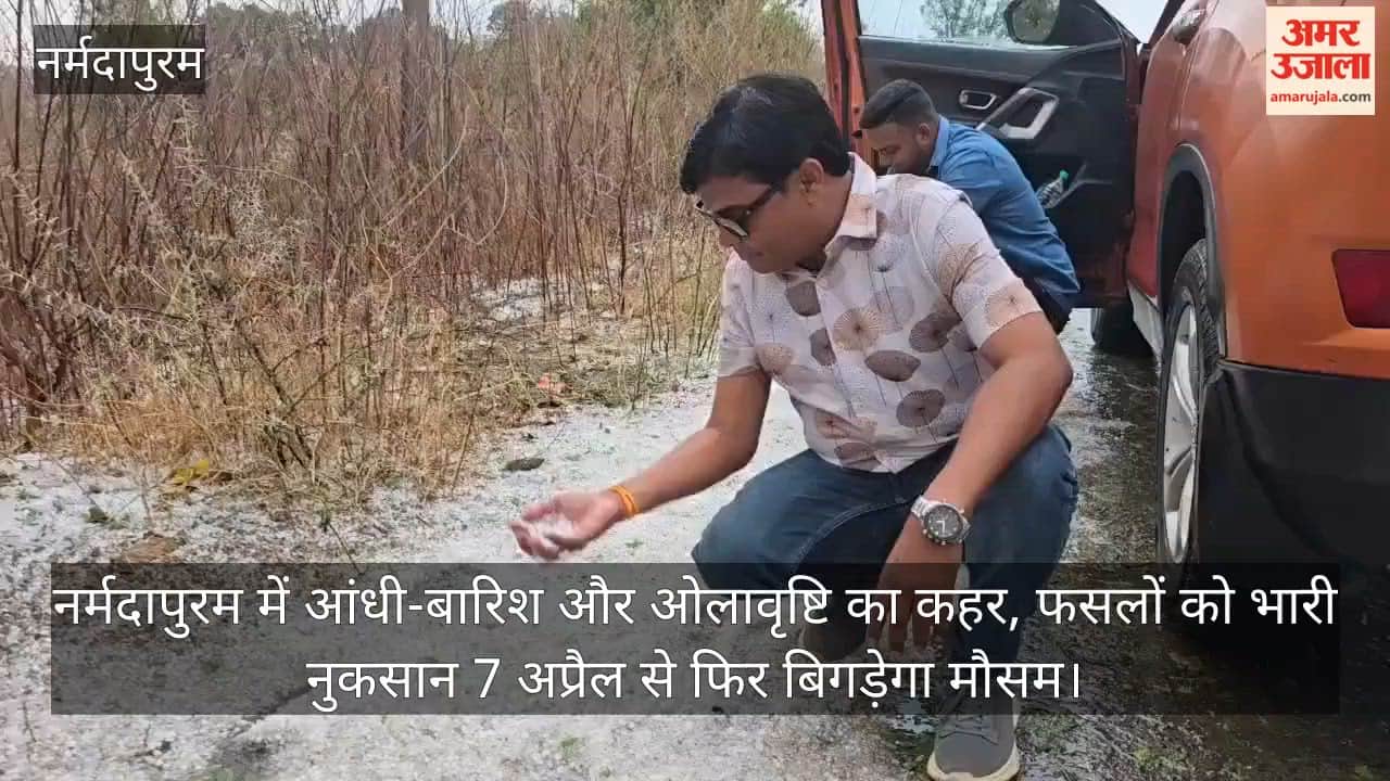 Storms, rain, and hailstorms wreak havoc in Narmadapuram, causing significant crop damage.