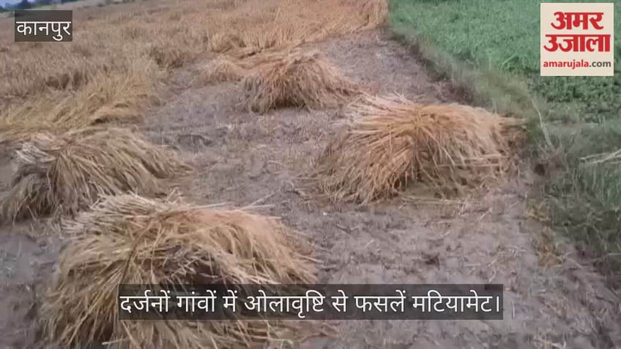 Kanpur Hail Accompanied by Storms and Rain Hits Ghatampur Farmers Woes Mount as SDM Orders Survey