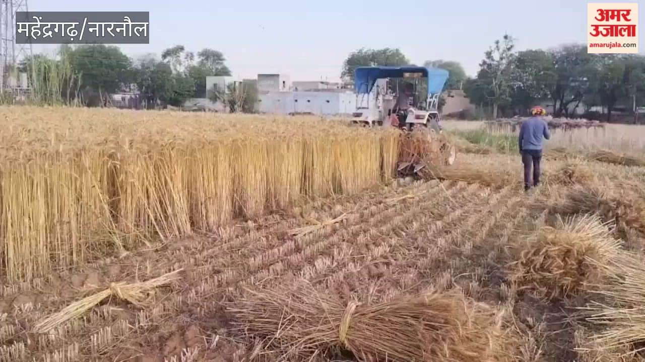 With the weather remaining clear in Mahendragarh for the past two days, work has resumed in the fields.