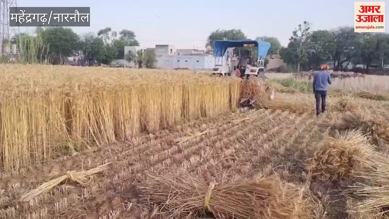 With the weather remaining clear in Mahendragarh for the past two days, work has resumed in the fields.