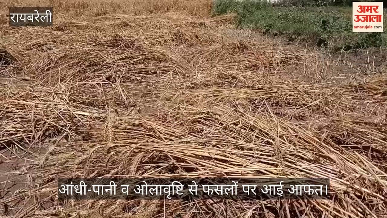 रायबरेली में आंधी-पानी व ओलावृष्टि से फसलों पर आई आफत