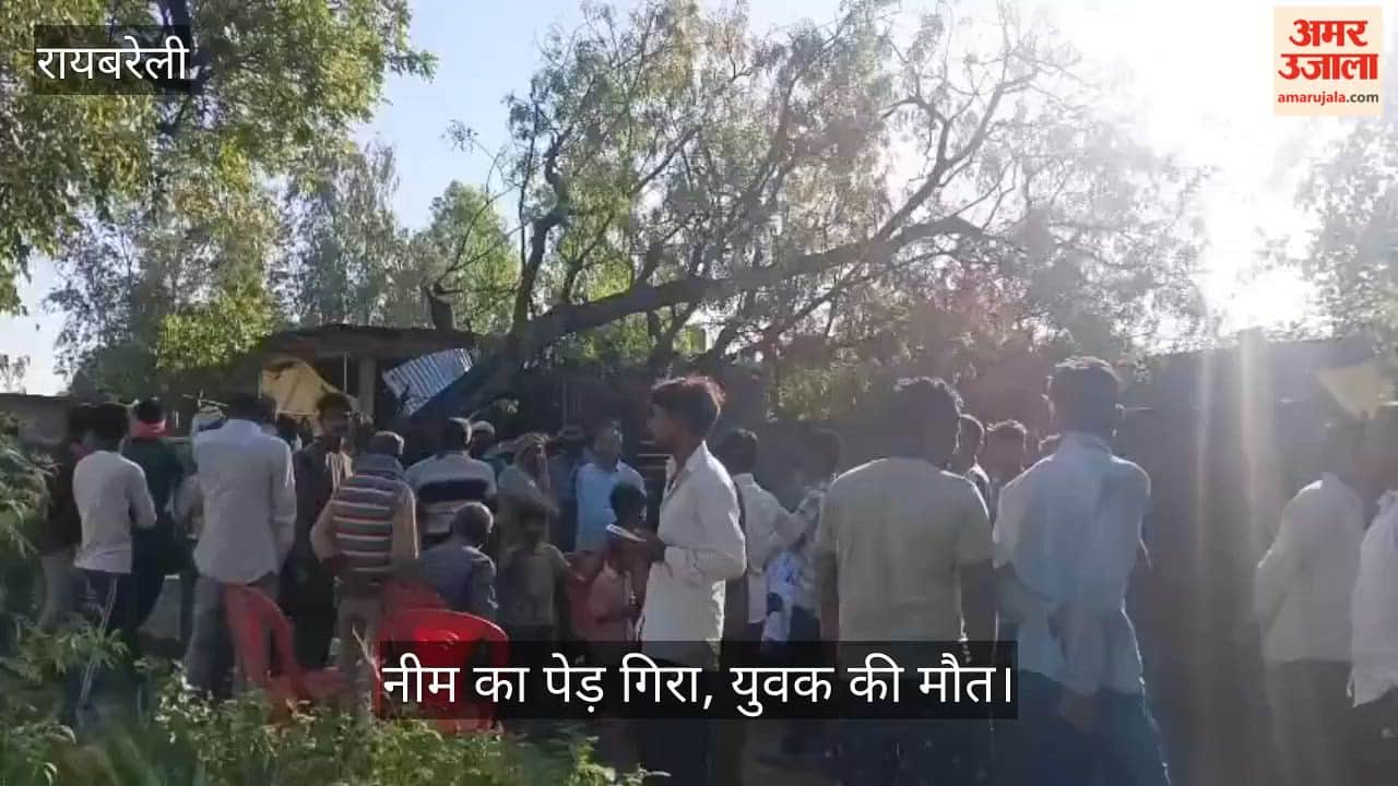 रायबरेली में जानवर खोलते समय गिरा नीम का पेड़, युवक की मौत