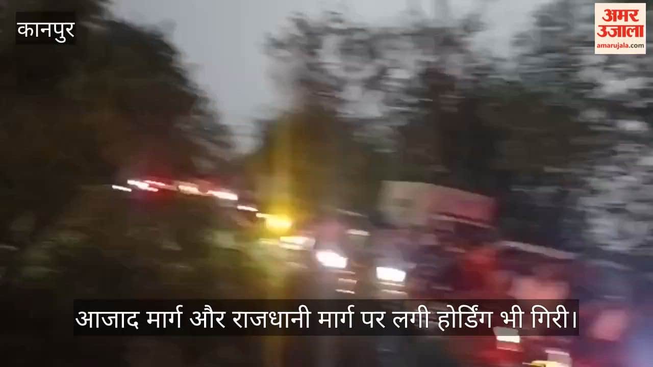 Shuklaganj Wheat crops flattened in Gangaghat area massive traffic jam ensues on Barrage Road after tree falls