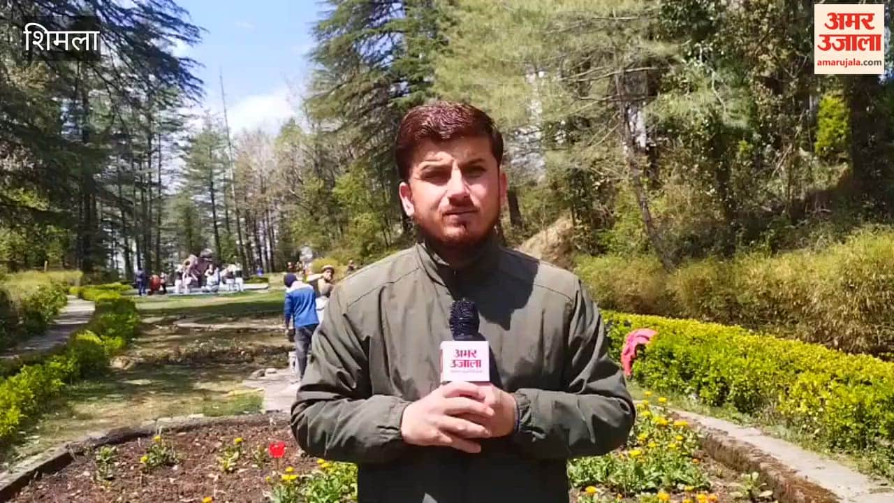 Shimla Double Whammy of Weather at Craignano Tulip Park; Even Bloomed Flowers Destroyed by Hailstorm