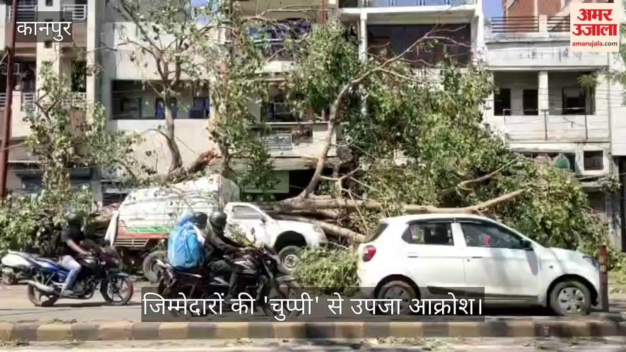 Kanpur Blackout in Darshanpurwa for 20 Hours Vehicles Crushed Under Trees Thirsty Residents