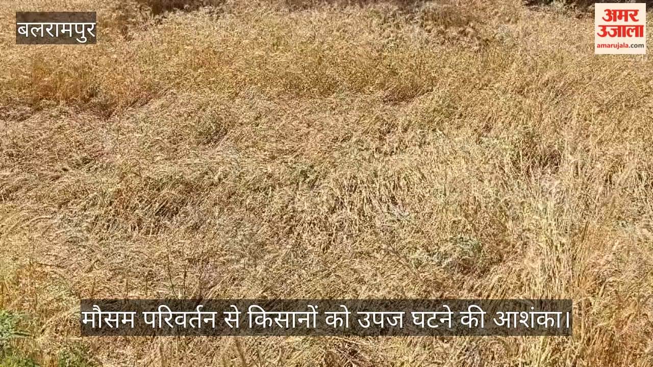 VIDEO: आंधी-पानी से किसानों की बढ़ी चिंता, खेतों में बिखरी कटी गेहूं की फसल