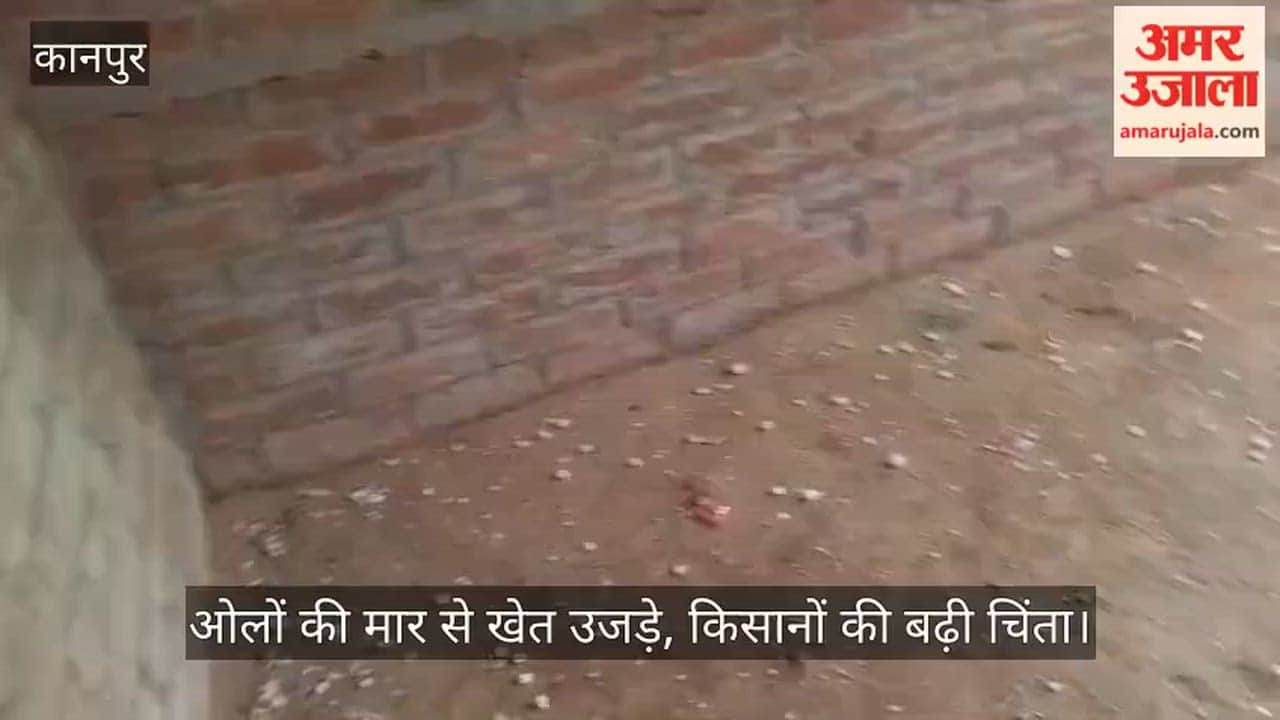 Hailstorm damages crops in Kanpur rural areas