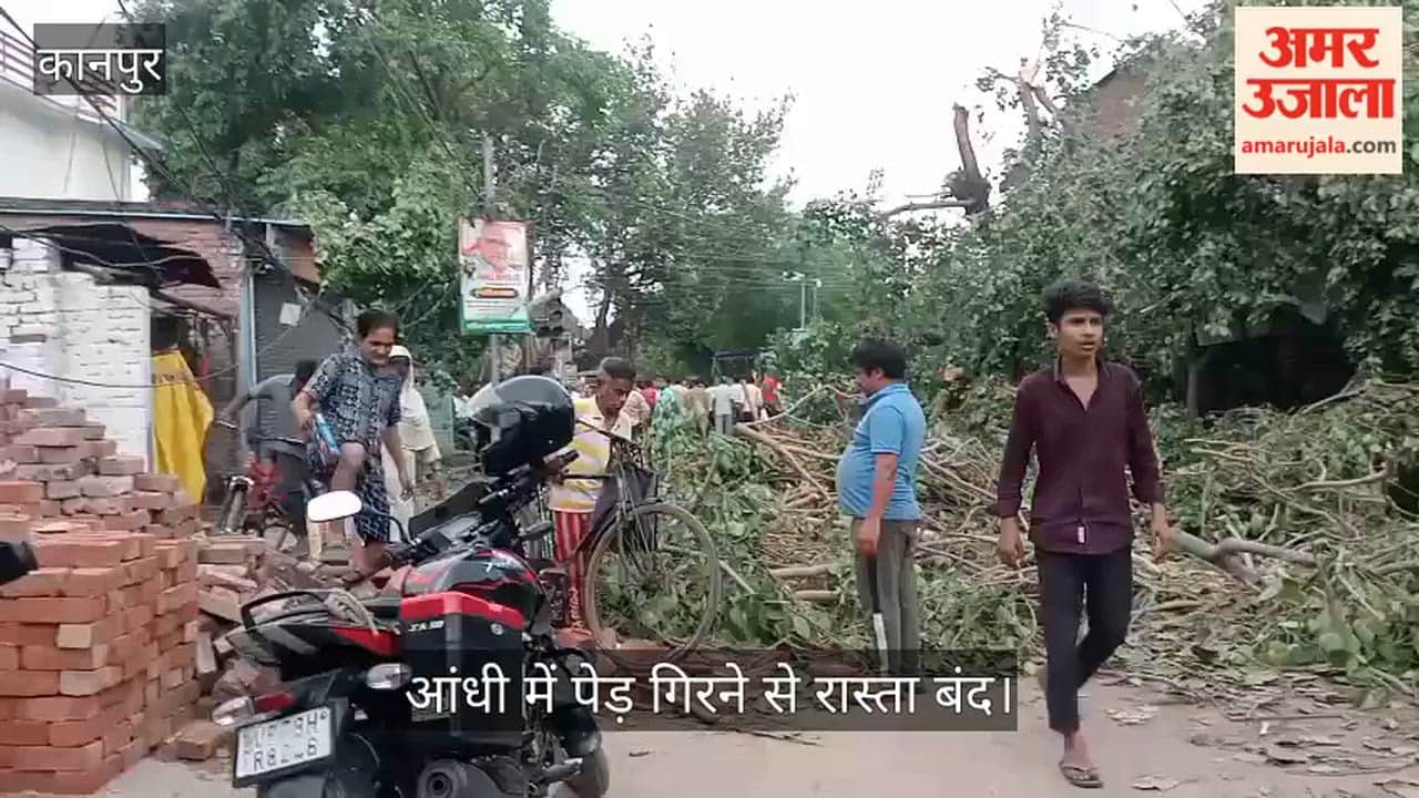 Fallen tree blocks road in Kanpur after storm
