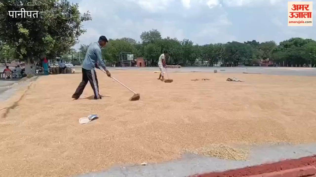 Wheat procurement is not happening due to moisture