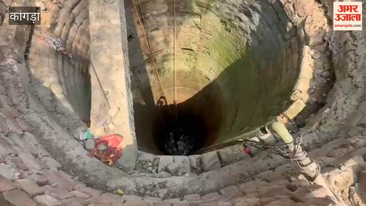 Kangra: Calf falls into 35-foot-deep well in Jwalamukhi fire brigade rescues it safely