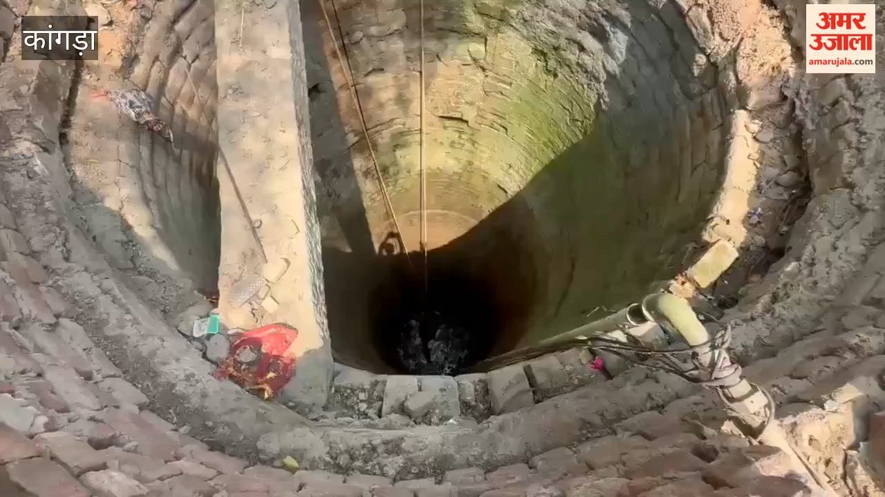Kangra: Calf falls into 35-foot-deep well in Jwalamukhi fire brigade rescues it safely