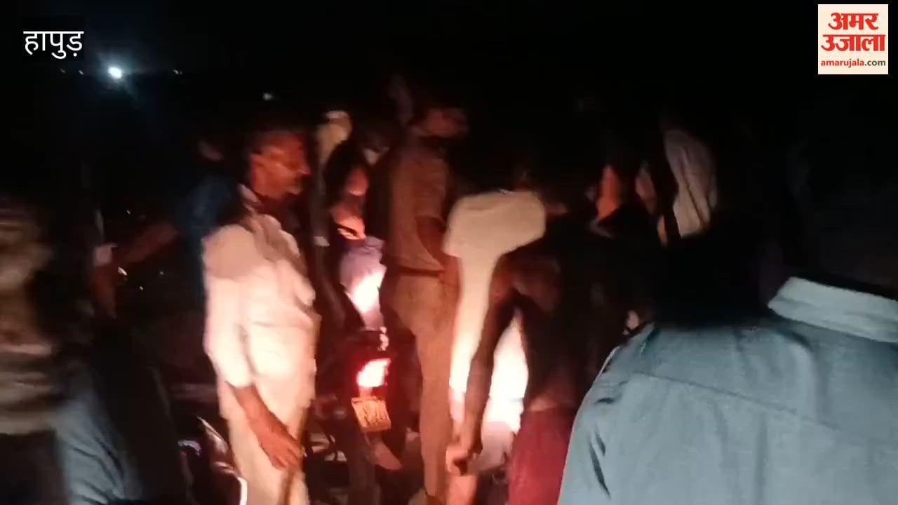 Allegations of cattle being injected with sedatives before being transported from Madhapur Hapur
