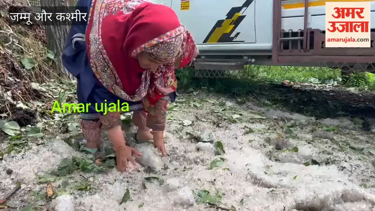 Hailstorm Causes Massive Damage to Apple Orchards in Shopian