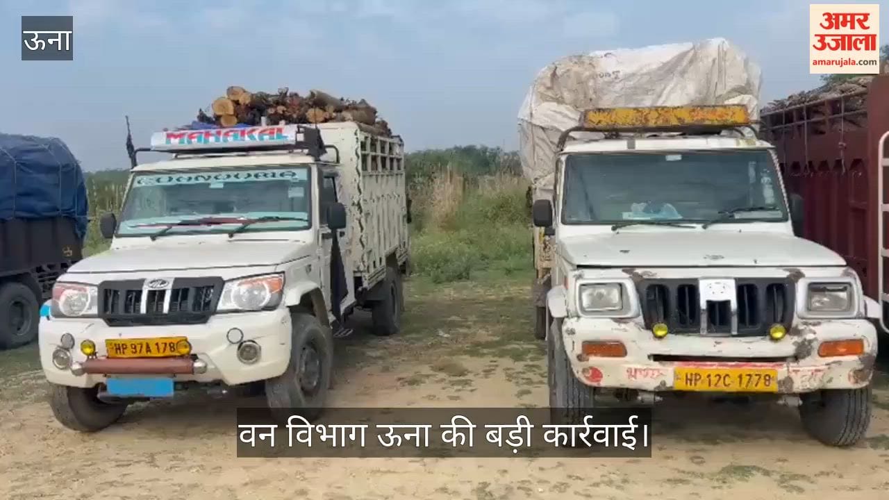 Major action by Una Forest Department: 10 vehicles loaded with illegal forest produce seized during an overnight search operation