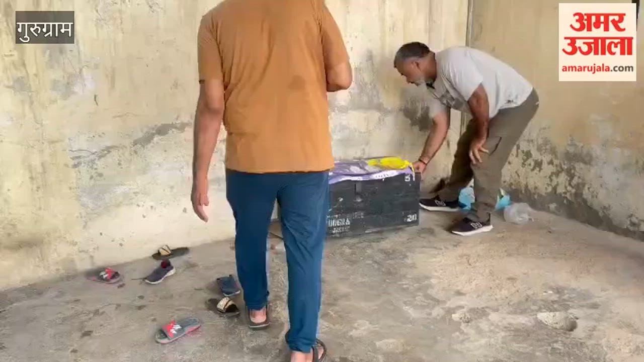 Snake catcher team rescues rock python in Gurugram Sector-23A