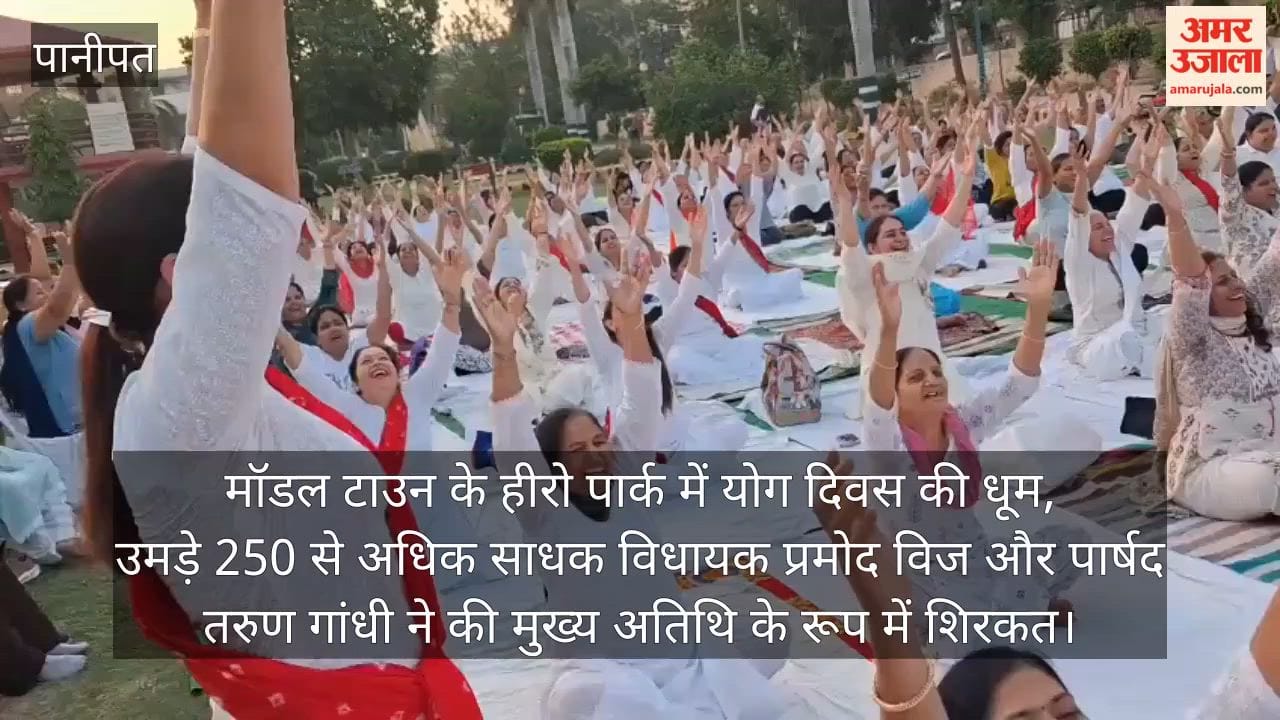 Yoga Day Celebrations at Model Town's Hero Park: Over 250 Enthusiasts Turn Out MLA Pramod Vij and Councilor Tarun Gandhi Attend as Chief Guests