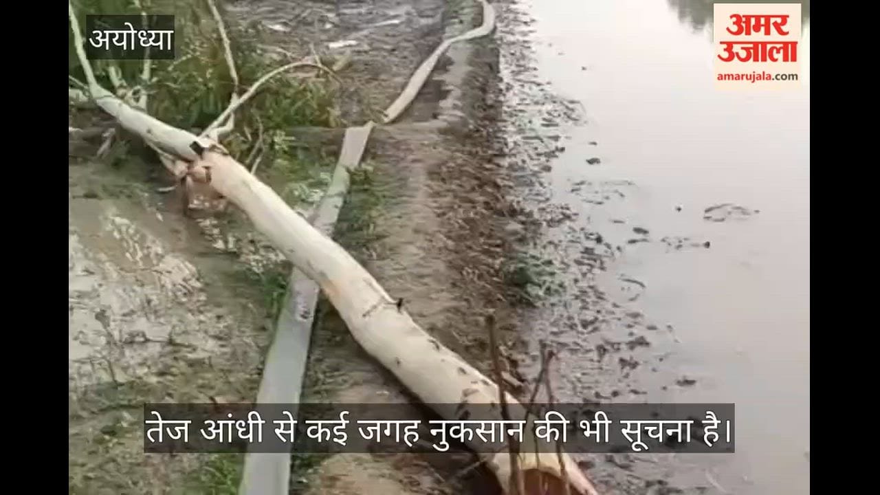 तेज आंधी-बारिश से उखड़े पेड़, टूटी छप्पर-चद्दरें, फसलों को मिली राहत तो किसानों को नुकसान