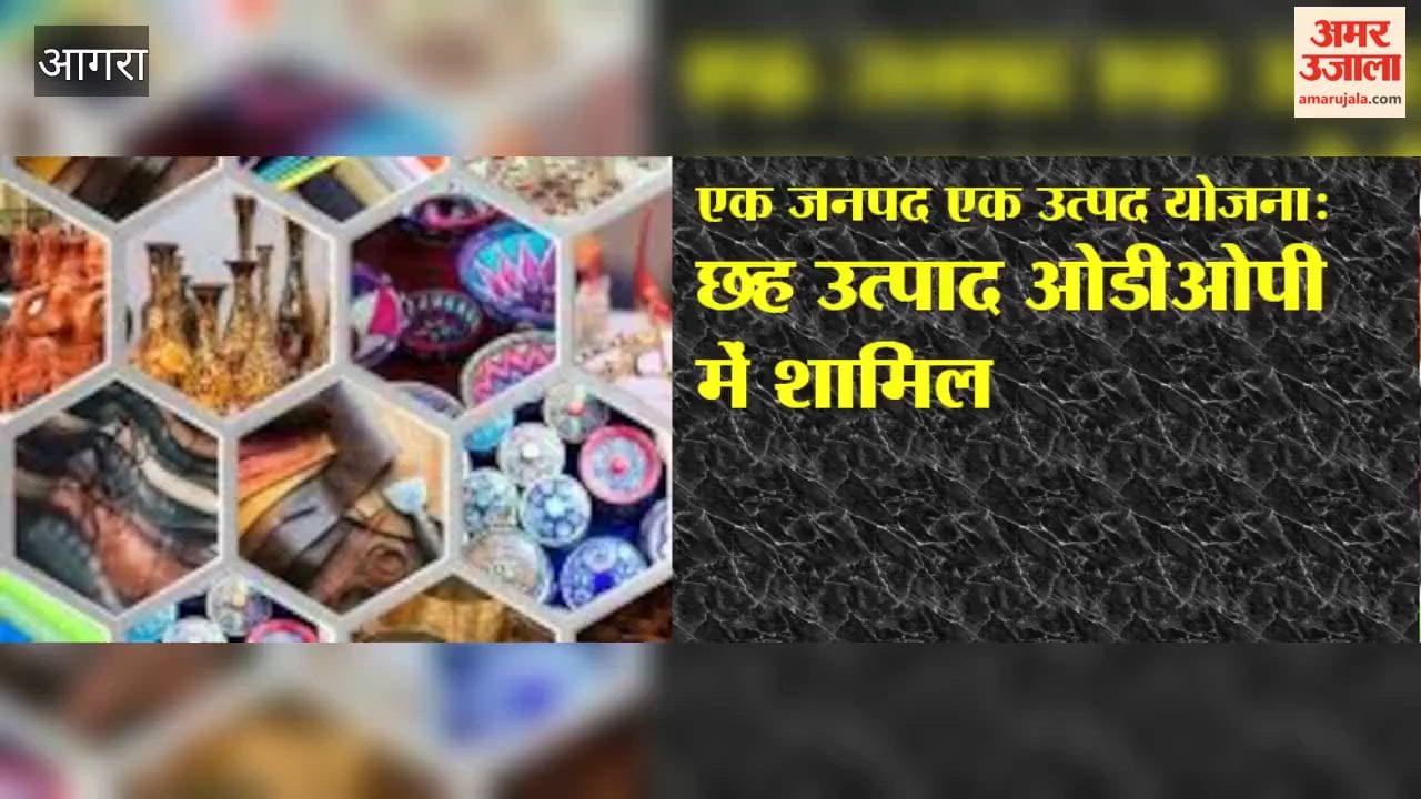 Silver, Zardozi and Brush Industries Set for ODOP Recognition in Agra