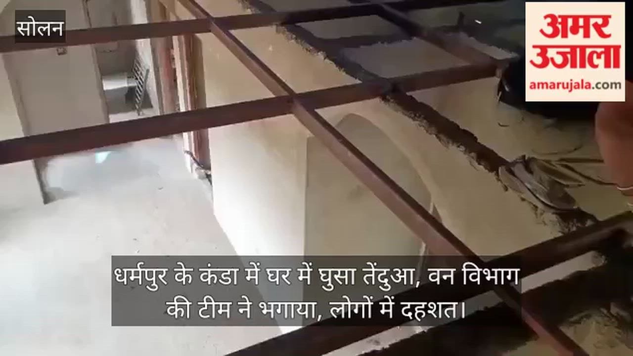 Leopard enters house in Kanda, Dharampur; Forest Department team drives it away; panic among locals