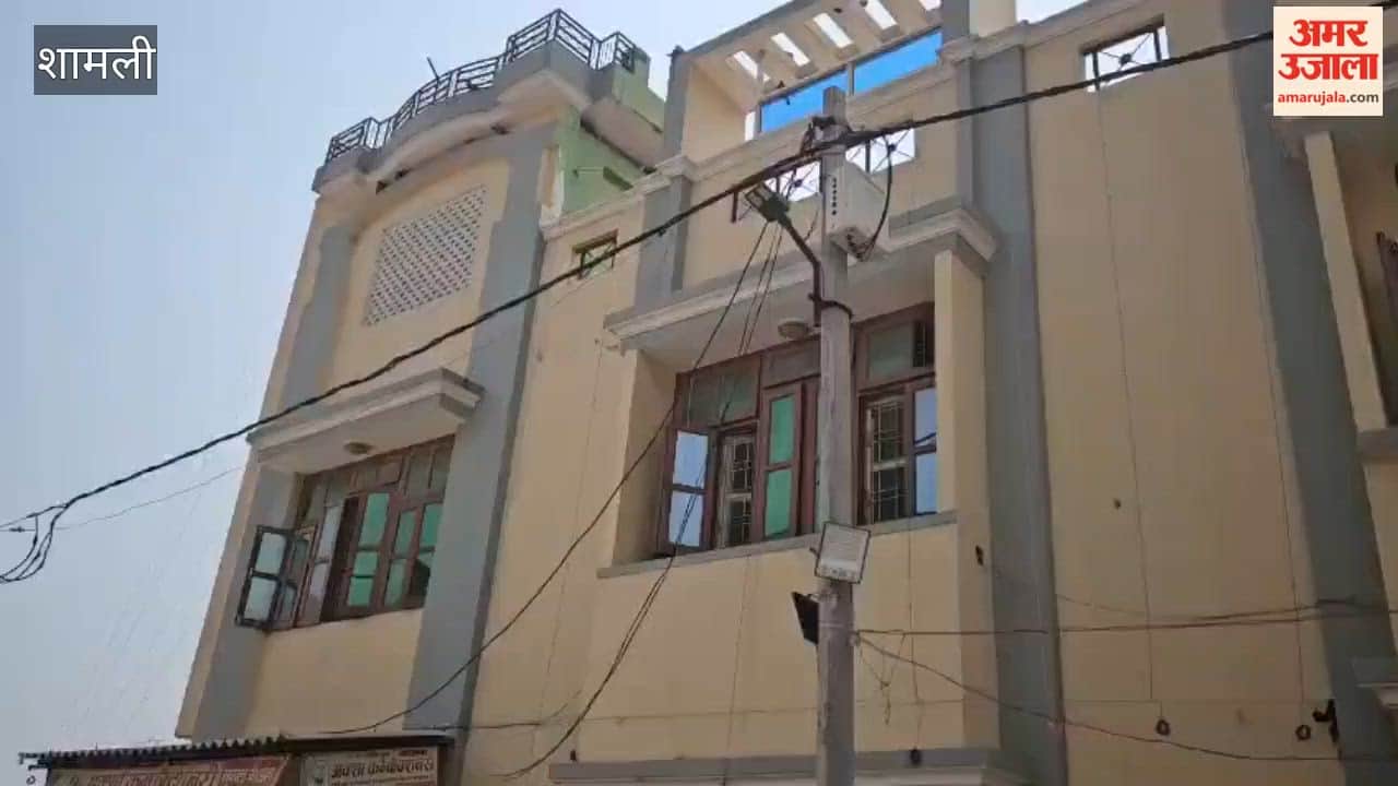 Protected Animal Meat Allegedly Served at Walima Feast, Groom Among Several Detained