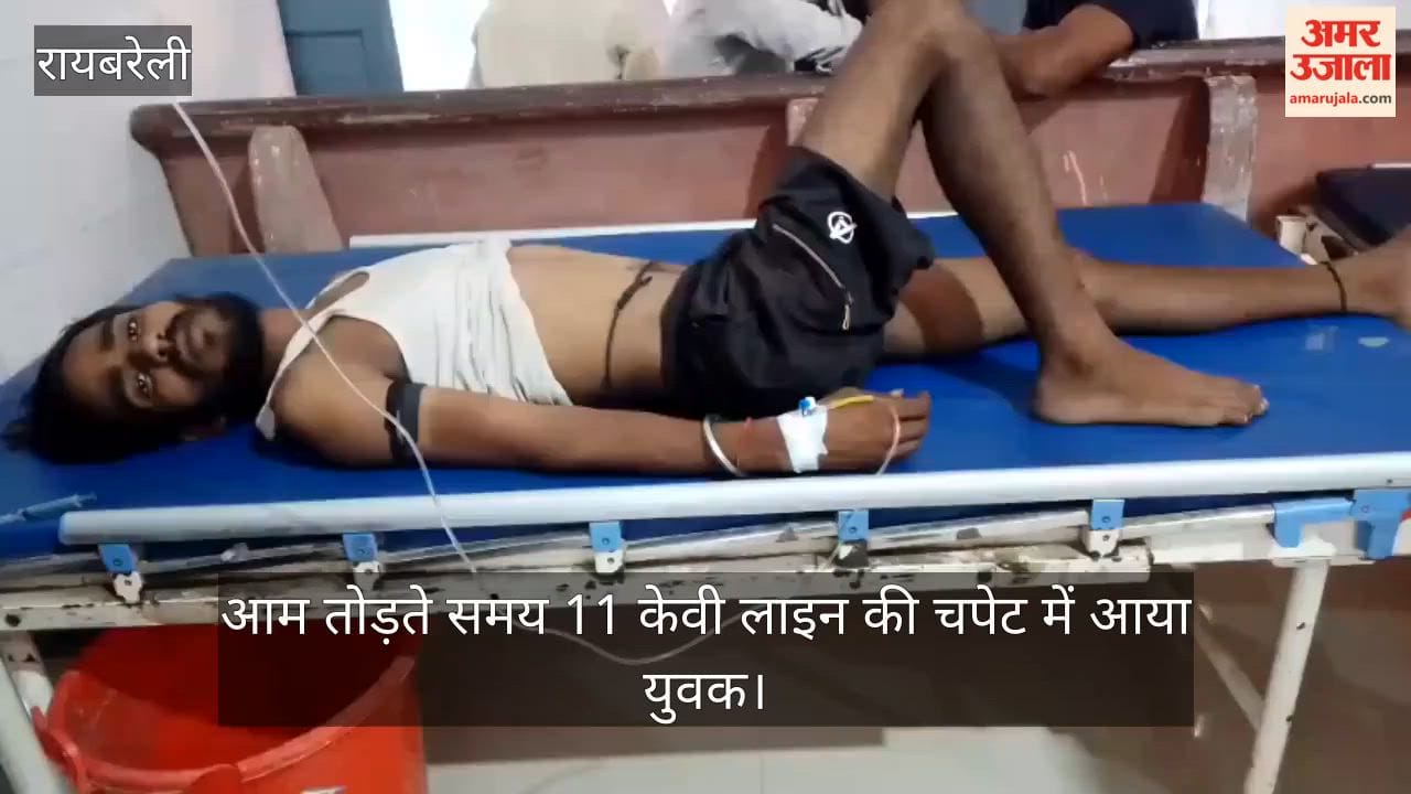 Video: रायबरेली में आम तोड़ते समय 11 केवी लाइन की चपेट में आया युवक, गंभीर
