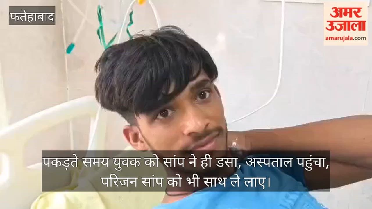 A young man who went to catch a snake was bitten by the very same snake; when he was taken to the hospital, his family members brought the snake along with them.