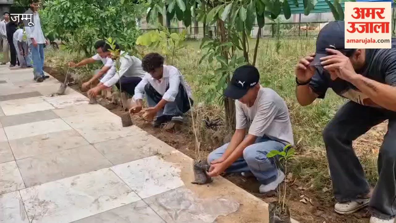 On the occasion of Rahul Gandhi's birthday, Youth Congress workers planted trees in the cremation ground premises in Kathua.