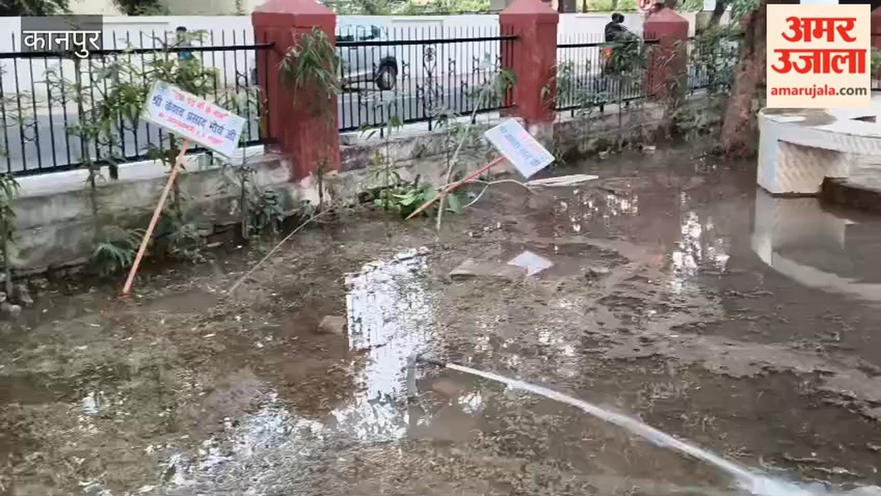 Kanpur: Sapling planted by Deputy CM vanishes completely within three days