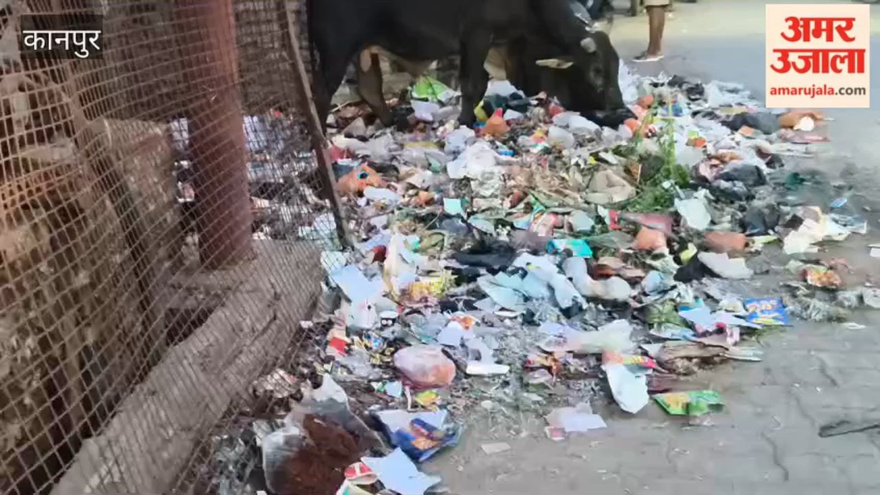 Kanpur: Pile of garbage in the middle of the road causes inconvenience to people
