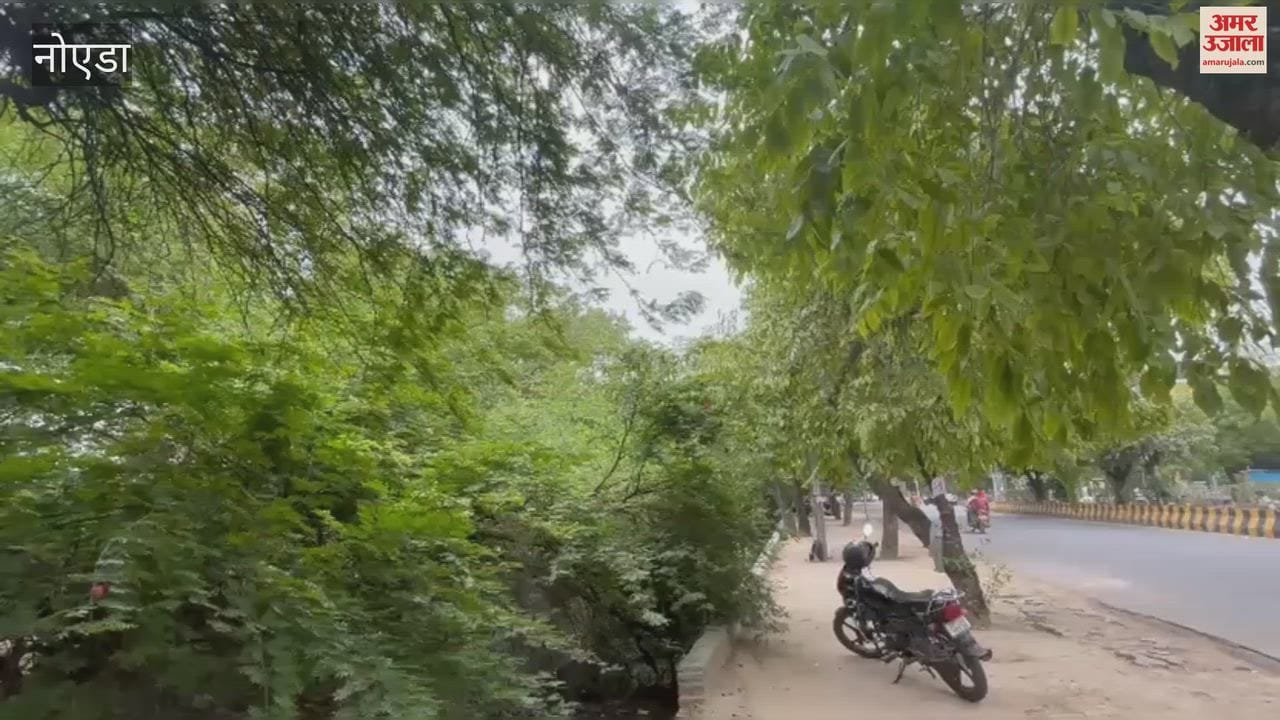 Noida's drainage system exposed ahead of the monsoon