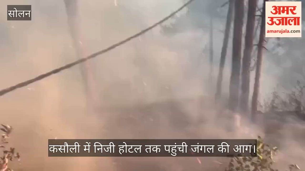Forest fire reaches private hotel in Kasauli; major disaster averted thanks to staff's quick thinking.