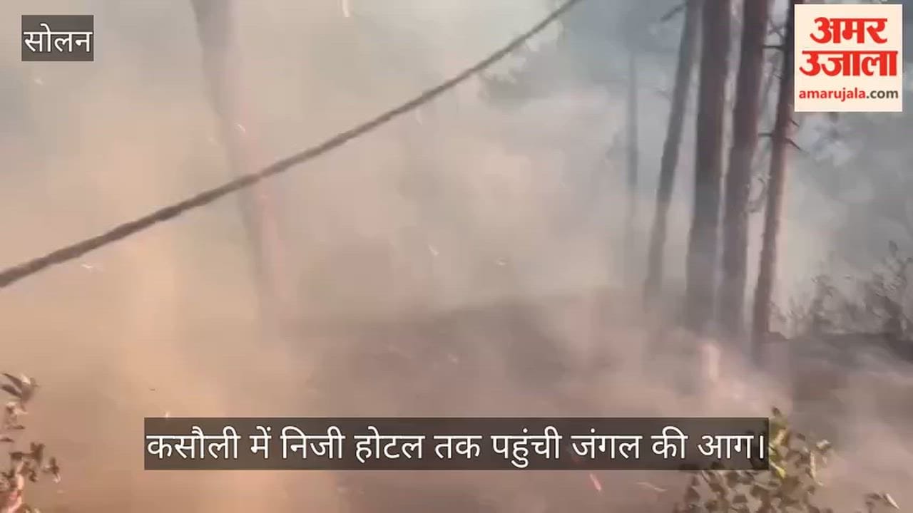 Forest fire reaches private hotel in Kasauli; major disaster averted thanks to staff's quick thinking.