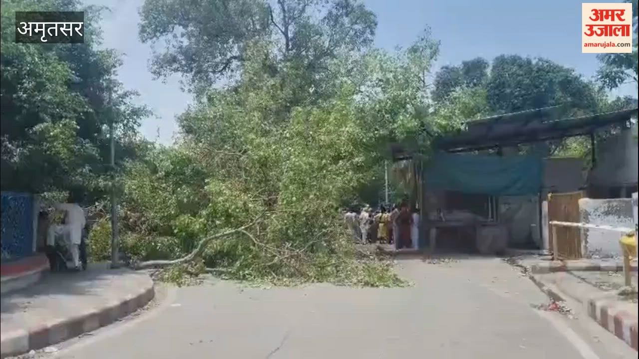 13-year-old Amritdhari boy dies after tree falls on him in Amritsar; he had come to visit Sri Harmandir Sahib.
