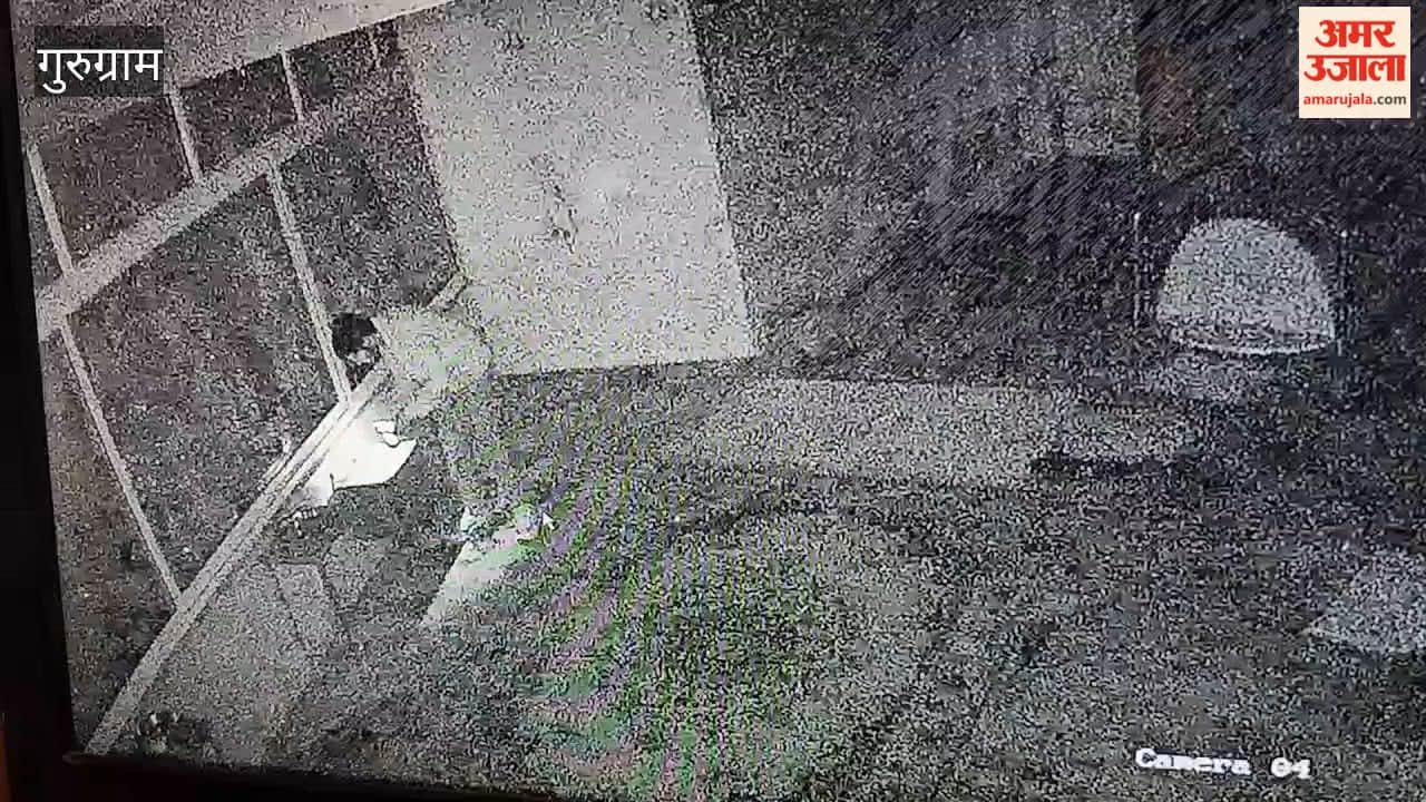 Theft at Gurugram's Hanuman temple; police investigating