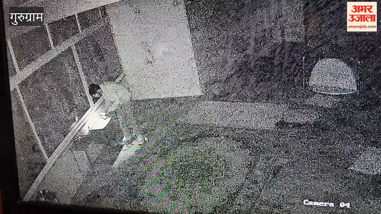 Theft at Gurugram's Hanuman temple; police investigating
