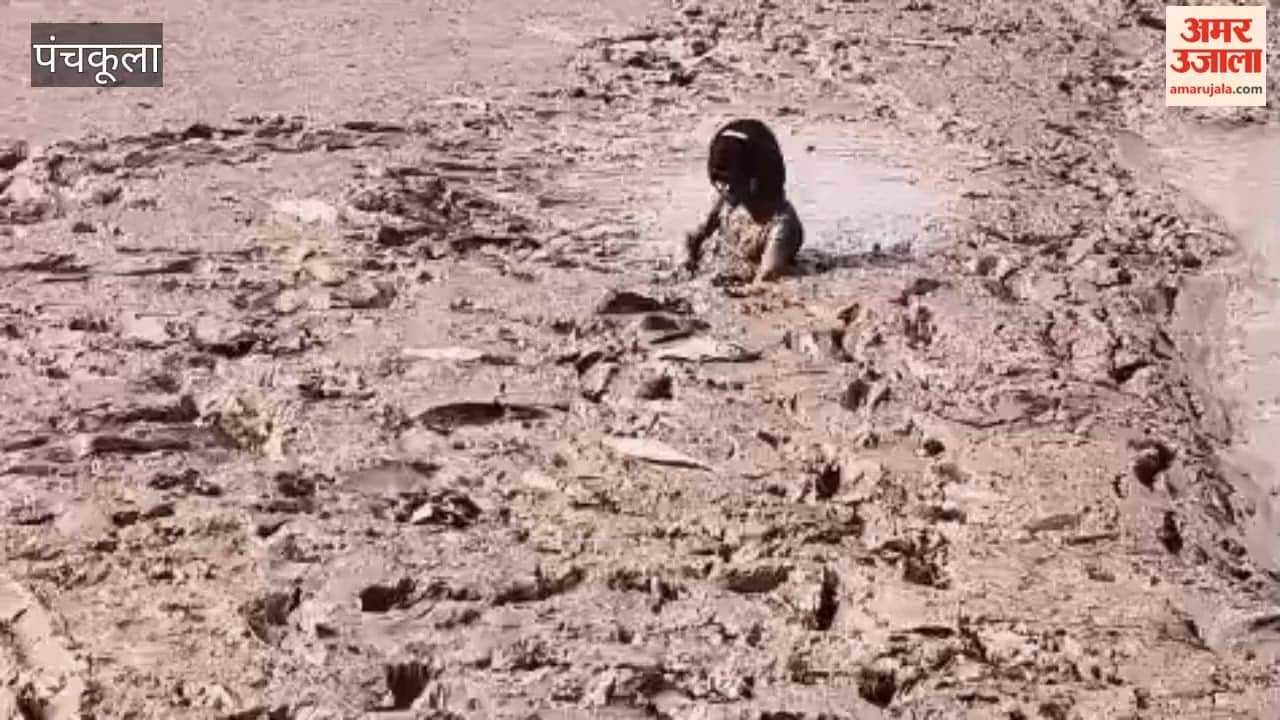 12-year-old girl trapped in the marsh at Kaushalya Dam; she had gone in to catch fish and was saved thanks to the prompt action of locals.
