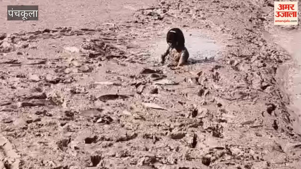 12-year-old girl trapped in the marsh at Kaushalya Dam; she had gone in to catch fish and was saved thanks to the prompt action of locals.